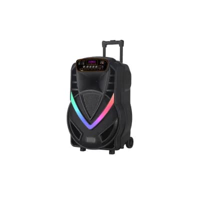Zvučnik NDR-V12 (FM/USB/TF/bluetooth/TWS/EQ) 12" karaoke s wireless mikrofonom